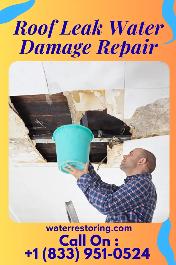 Roof Leak Water Damage Repair in Maeser, UT